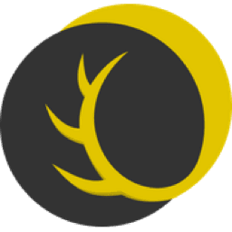 NordAxon logo