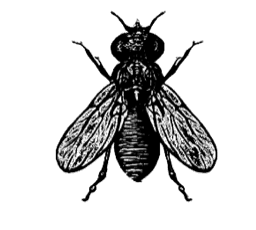 Powerfly logo