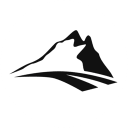 Witebot logo